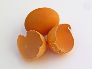 Eggshell_001